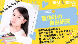 【自由研究2020】小学生の夏休みのお悩み、自由研究。今年は便利なキットを使って、アリの巣の観察にチャレンジしたよ！予想よりカンタンで、すごく楽しかったのでご紹介しまーす！😆