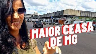 Maior Ceasa de Minas Gerais | Qual Maior Ceasa De Minas Gerais