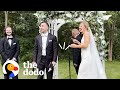 Stray Cat Crashes Couples’ Wedding | The Dodo