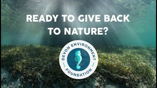 How your business can support nature-based solutions in Devon (full film)