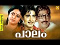 മധു, ശ്രീവിദ്യ,രതീഷ് അഭിനയ മികവിൽ ഒരു ഫീൽ ഗുഡ് കുടുംബ ചിത്രം | Paalam | Feel good Malayalam Movie