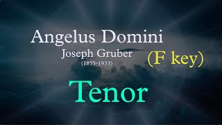 Angelus Domini (F key) - Joseph Gruber    ( Tenor )