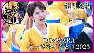 【公式】東海大学 響　『翼咲』　ODAWARAえっさホイおどり2023　銅門会場