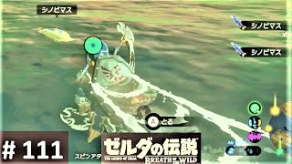 【シノビマスを探して : キト・ワワイの祠】攻略 ゼルダの伝説 ブレスオブザワイルド #111　BREATH OF THE WILD