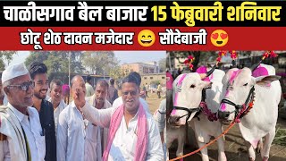 चाळीसगाव बैल बाजार 🛑 15 फेब्रुवारी शनिवार | छोटू शेठ दावन सौदेबाजी | Chalisgaon bail bazar