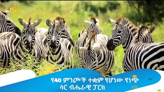 የ40 ምንጮች ተቋም የሆነው የነጭ ሳር ብሔራዊ ፓርክ