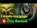 உலகையே பயமுறுத்தும் பத்து பாம்பு இனங்கள்