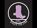 Learn How To Line Dance! Beginners’ steps: walk 3 kick/back 3 touch and side steps.