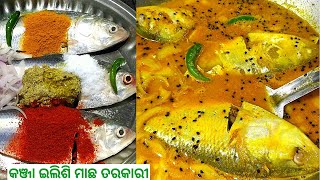 ସ୍ଵାଦିଷ୍ଟ କଞ୍ଚା ଇଲିଶି ମାଛ ତରକାରୀ ସହ ଗରମ ଭାତ ଦେଲେ ସବୁ ଖାଇ ବାଃ ବାଃ କହିବେ Raw Ilish Fish Curry Recipe .