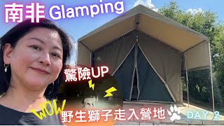 南非🇿🇦野生動物之旅🏕野外Glamping💢驚險野生獅子走入營地‼️體驗非洲天氣變幻莫測🌈Day 2💛Part TWO