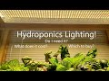 Choosing Lighting for Indoor Hydroponics