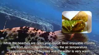 Japan Trip: Yoshino Beach  abundance of marine life Miyakojima Okinawa29