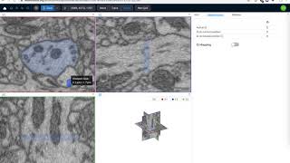 webKnossos: Creating Volume Annotations