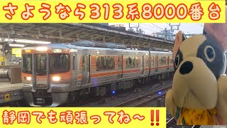 【JR東海】315系の投入で押し出された313系8000番台 名古屋地区最後の勇姿