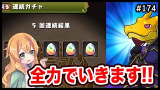 【無課金パズドラ】コードギアスコラボのあのキャラが欲しいので全力でいきますっ！！