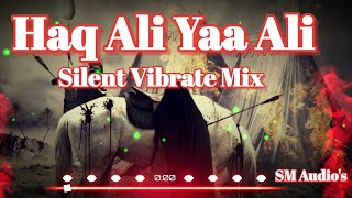 Haq Ali Yaa Ali Silent Vibrate Mix | Rahat Fateh Ali Khan | Haq Ali Ya Ali Dj Mix { SM Audios }
