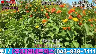 @그이름석자@  #원곡:남송아#  $커버: 남순례$