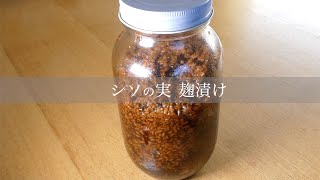 しその実　麹漬け　Perilla seeds pickled in Jiuqu