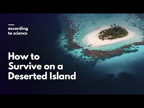 Does deserted island have animals?