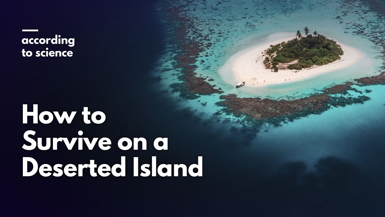 How To Survive Being Stranded On A Deserted Island, According To ...