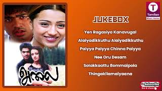 Alai (2003) Tamil Movie Songs | Simbu | Trisha | Vidyasagar