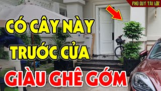 Cứ Trồng 7 Cây Này TRƯỚC CỬA NHÀ Vào Tháng Cô Hồn 2023 Sau 1 Đêm Tiền Bạc Ùn Ùn Kéo Vào