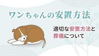 【解説】愛犬が亡くなったら何をすればいい？｜安置方法と葬儀について