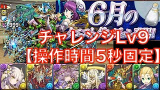 [Puzzle and Dragons] 6月のクエスト 上級者向け チャレンジLv9【操作時間5秒固定】