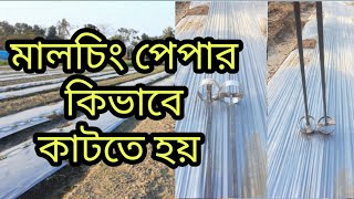 মালচিং শীট কিভাবে কাটাতে হবে - শীত মৌসুমে মালচিং শীট মাটি ছাড়া কিভাবে আটকানো যায় ?