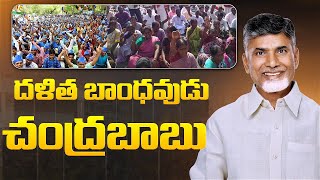 దళిత బాంధవుడు చంద్రబాబు | Special Story On TDP Chandrababu | TDP Official