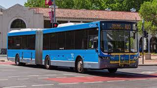 Luca’s Transport Vlog 22: The Transport Canberra Bus Fleet