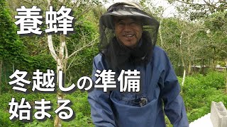 【養蜂】冬越しの準備が始まる。(宮崎県)