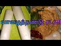 வாழைத்தண்டு சட்னி valaithandu thuvaiyal valaithandu recipe in tamil valaithandu chutney recipe