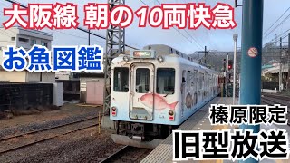 近鉄大阪線 2430系+2430系+5200系+2410系(お魚図鑑) 快速急行 大阪上本町ゆき到着→発車@榛原