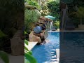 check out this beautiful modern zen pool with natural rock grotto in miami florida. insanepools