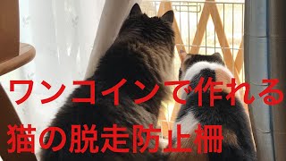 ワンコインで作れる猫の脱走防止柵 札幌ペットシッター