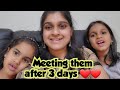 Meeting my kutties after 3 days 🥰 | How did he manage them alone | Did they miss me? | Sharanya