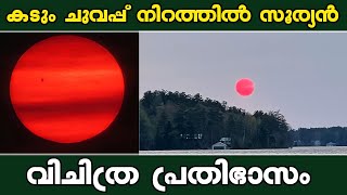 കടും ചുവപ്പ് നിറത്തിൽ സൂര്യൻ വിചിത്ര പ്രതിഭാസം | Red sun | wild fire | Canada | Kalakaumudi Online