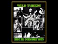 Wild Turkey  - BBC 'In Concert' 1973  (Second Performance)