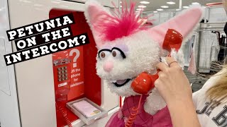 PETUNIA INFILTRATES TARGET!