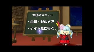 みぃのドラクエ10　深夜の白箱狙い