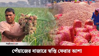 বারি-৫ জাতের পেঁয়াজে কম ব্যয়ে ফলন দেড়-দুইশ মণ | Pabna | Onion