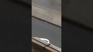 ‏مطر في مكه