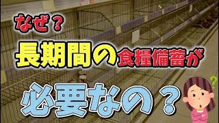 【食糧備蓄】【削除覚悟】なぜ長期の食糧備蓄が必要なのか？食糧備蓄3月分をご紹介しながら解説