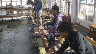 ☆2018年釣り納めは釣り堀で鯉釣り【釣り納め】【仙台】