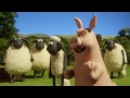 shot put championsheeps games shaun the sheep