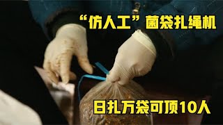 妙扎活结？湖北牛人发明“仿人工”菌袋扎绳机，日扎万袋可顶10人