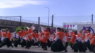 高知学生 旅鯨人／第19回 犬山踊芸祭（2023/06/04）@石作公園メイン会場