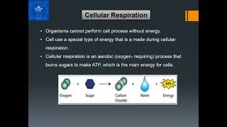 YDP Academy Pre GED Science Video Free Class