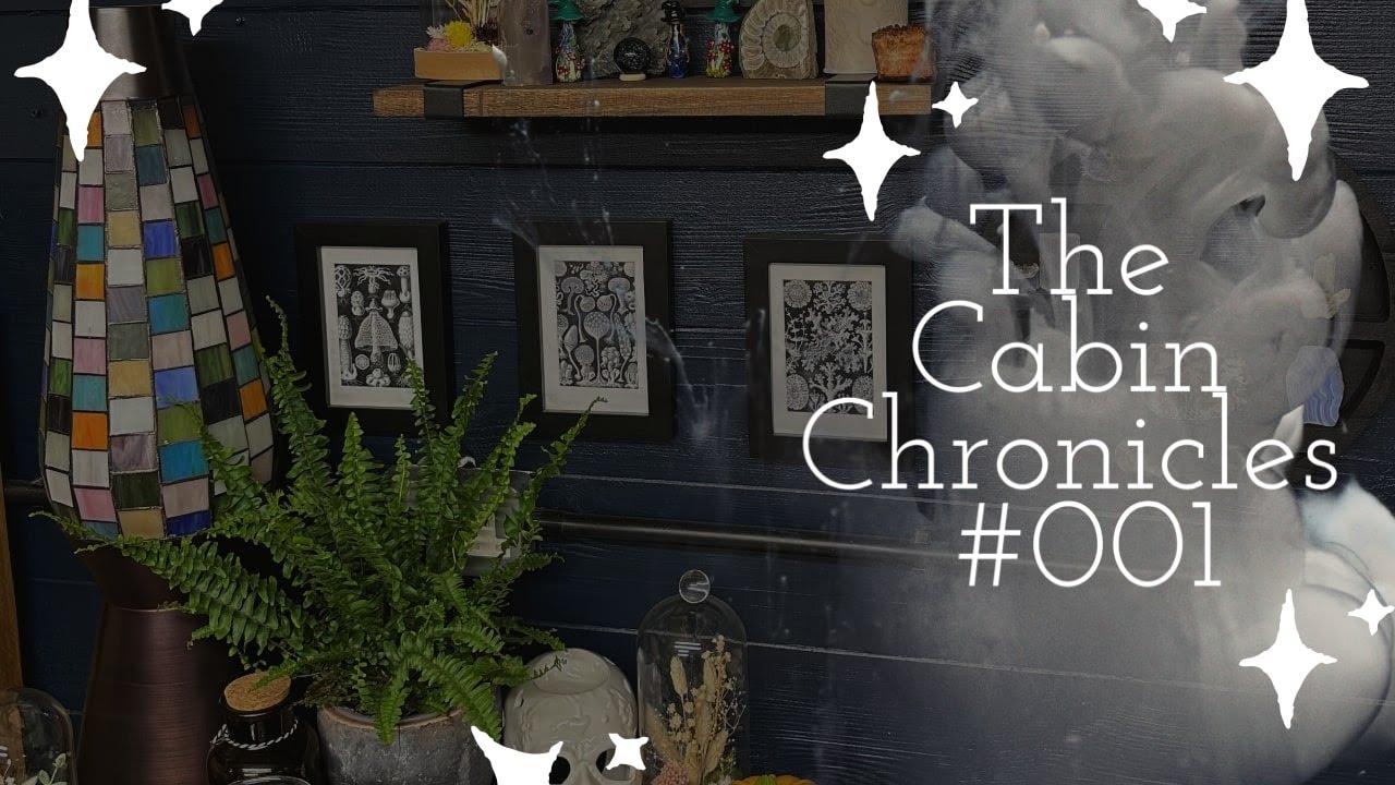 Cabin Chronicles Ep 001 I M Back A Little Heart To Heart